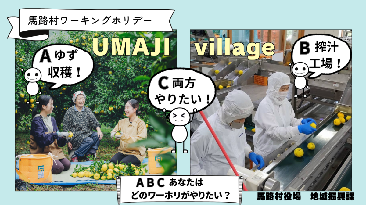 馬路村ふるさとワーキングホリデーゆず収穫と搾汁作業　応募締切 9月23日（水）　